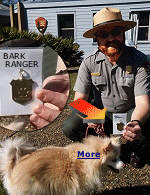 My dog Lily was pretty proud of herself after completing a short course at Ocean Springs National Seashore and being named an official ''Bark Ranger''.
